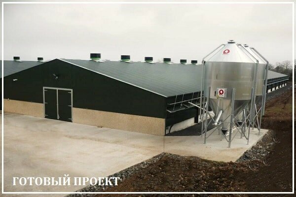 Этапы возведения птицефабрики от завода ВелесТент-вчг
